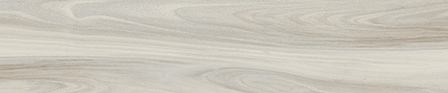 Wood Grove White Porcelain Floor and Wall Tile 240x1200mm