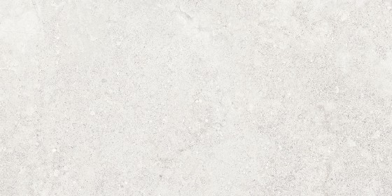 Abode White Natural Ceramic Wall Tile 300x600mm