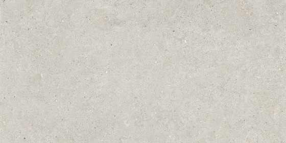 Fossil Light Porcelain Wall And Floor Tile 600x1200mm