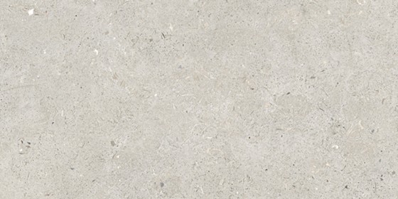 Fossil Light Porcelain Wall And Floor Tile 300x600mm