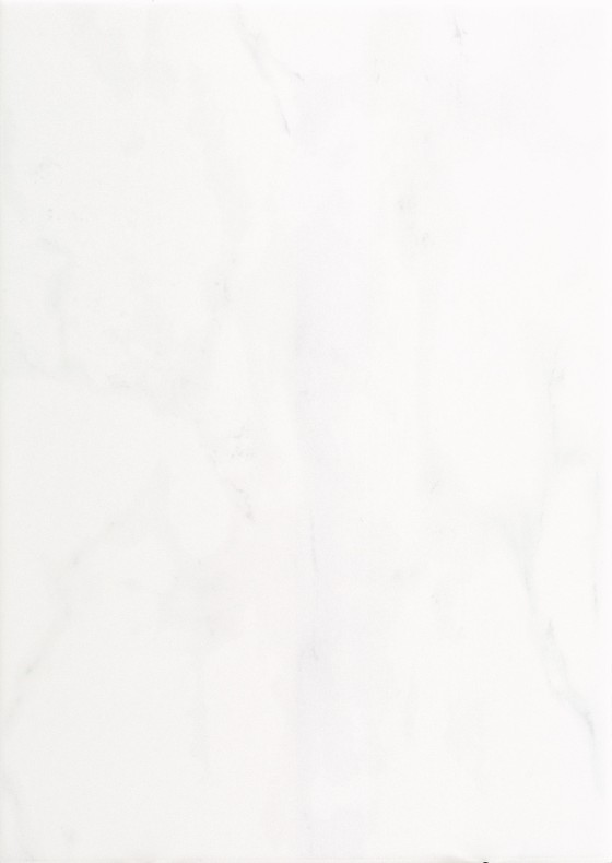 NB1550 Marmo Blanco Carrara Wall Tile 250x350mm - 4.4m²
