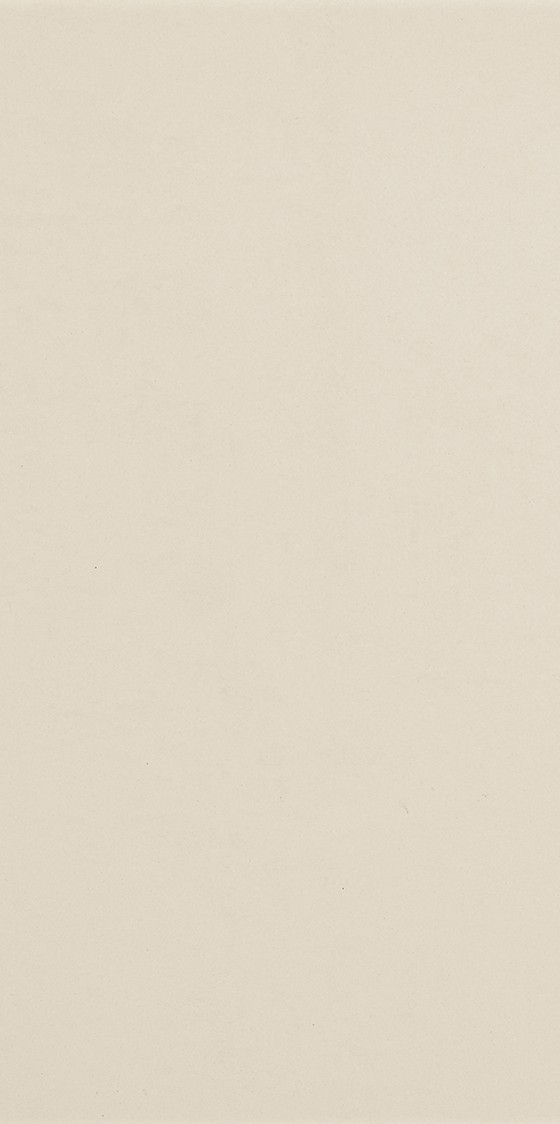 NB18780 Time Snow Natural Rectified Double Loaded Porcelain 300x600mm - 2.34m²