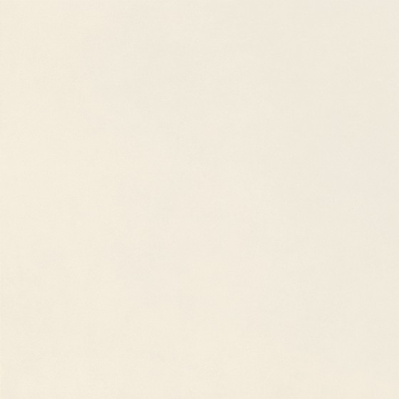 NB1912 Esprit White Natural Porcelain 600x600mm - 5.6m²