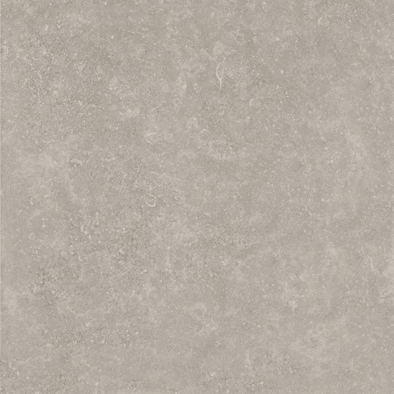 Luna Light Grey Extruded Porcelain Wall & Floor Tile 592x592mm