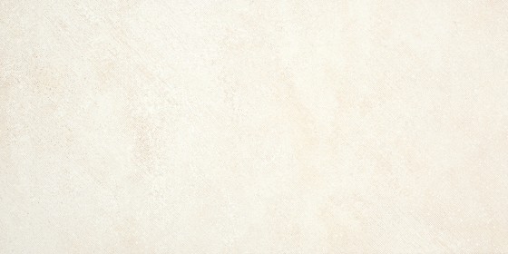 NB16700 Fern Bone Wall Tile 300x600mm - 1.45m²