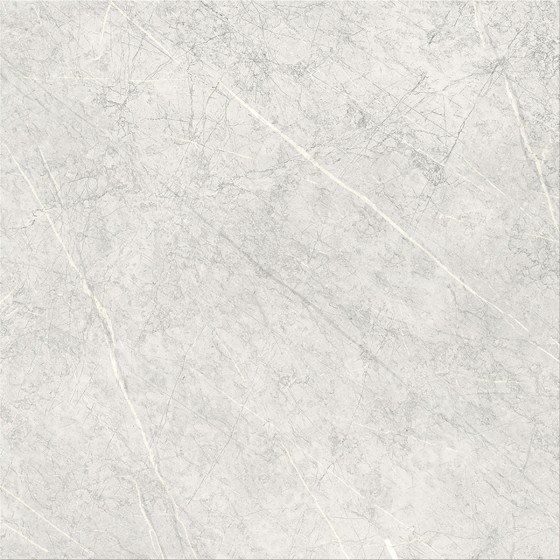 NB40052W Luxury White Veined Stone Light Grey Matt Porcelain 593x593 - 3.5m²