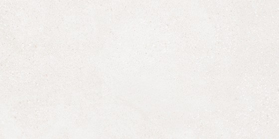 Horizon White Porcelain Wall & Floor Tile 300x600mm