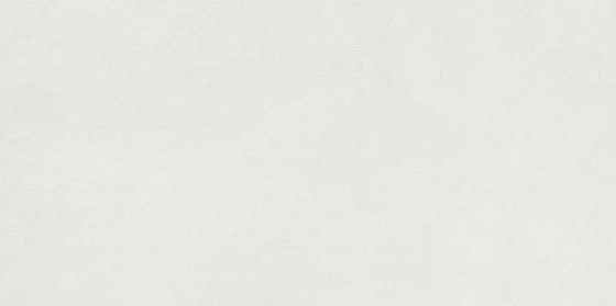 Lyon White Porcelain Wall & Floor Tile 300x600mm