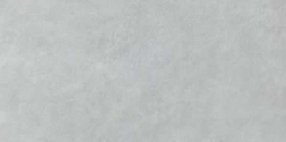 Lyon Light Grey Porcelain Wall & Floor Tile 300x600mm