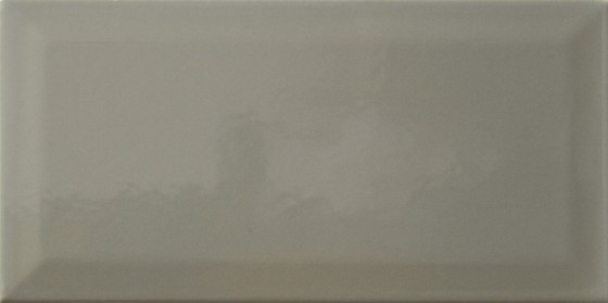 NB1750 Metro Underground Bevel Gloss Sage 200x100mm - 5m²