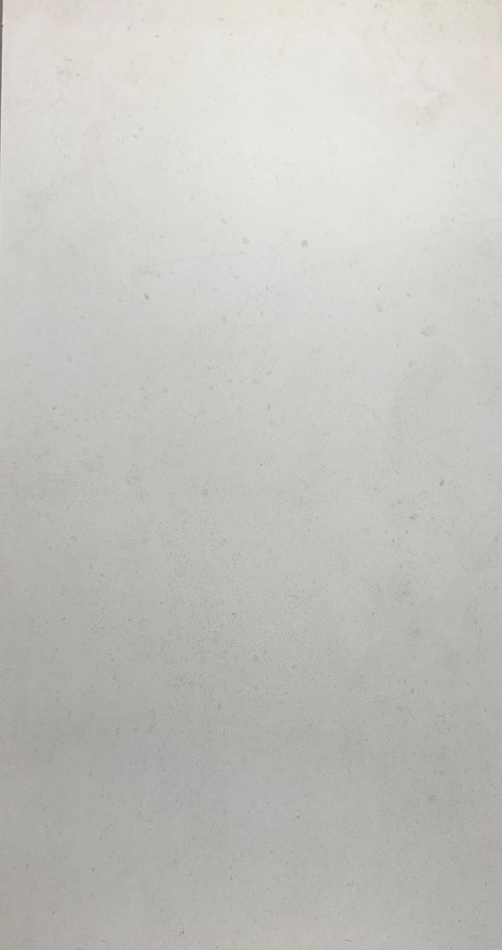 NB12000 Steelker White Porcelain 300x600mm - 9.5m²