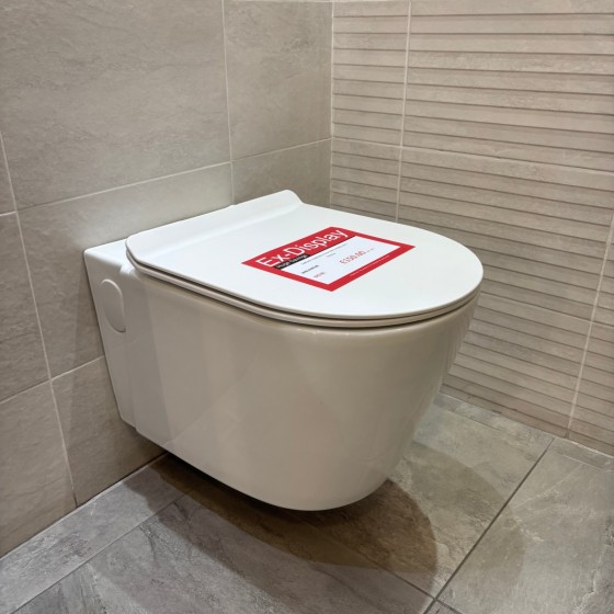 Surface Standard Flush Wall Hung Suite