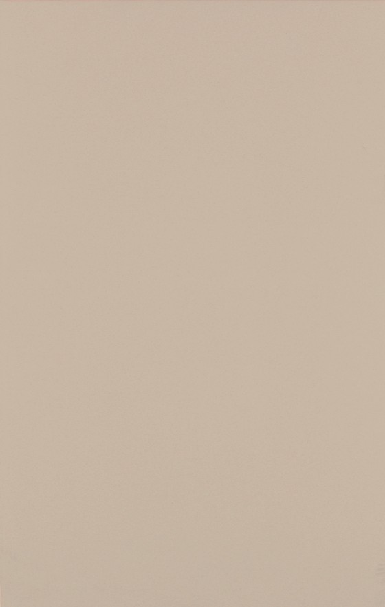 NB1820 Affinity Cappuccino Plain Wall Tile 270x420mm - 2.11m²