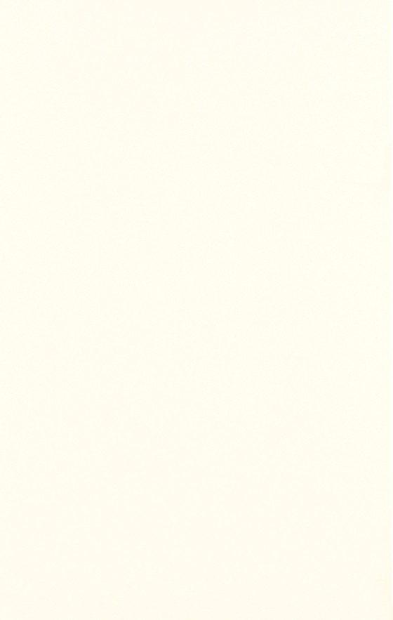 NB1900 Affinity Matt White Plain Wall Tile 270x420mm - 2.66m²