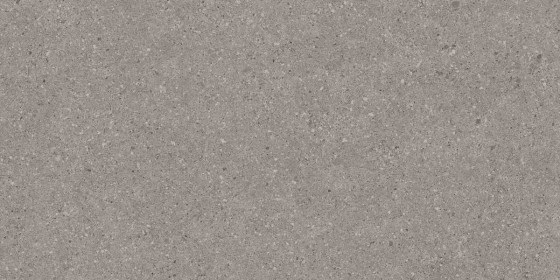 Balance Matt Grey Ceramic Wall Tile 295x592mm