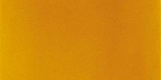 Shades Ambar Ceramic Wall Tile 70 X 140mm