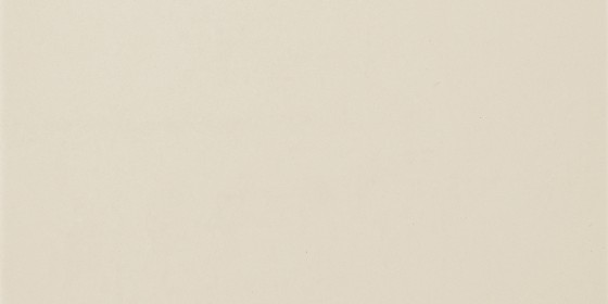 Time Snow Natural Rectified Double Loaded Porcelain Floor & Wall Tile 300x600mm