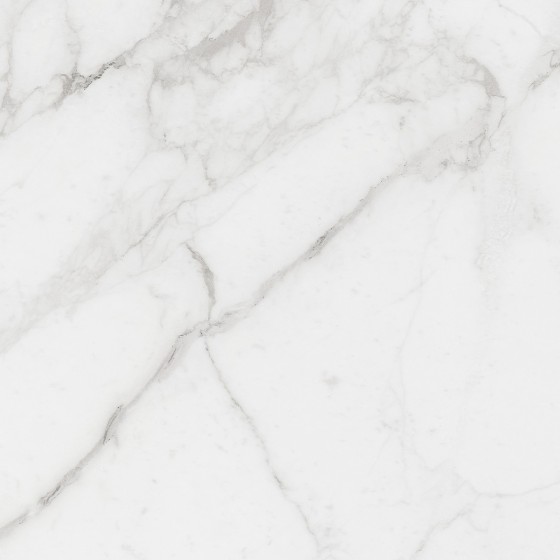 Classic White Marble Floor And Wall Tile