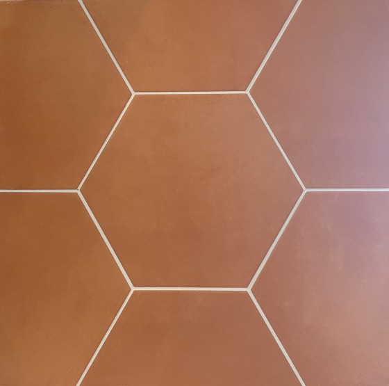 Lily 5 Hexagon Orange Porcelain Floor & Wall Tile 198x228mm