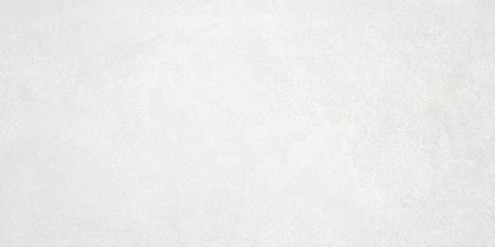 Fern White Ceramic Wall Tile 300x600mm