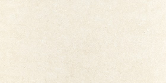 Willow Sand Ceramic Wall Tile 300x600mm