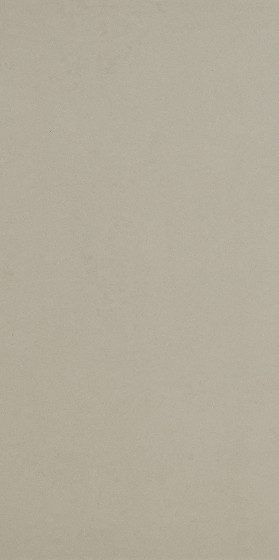 Time Silver Natural Rectified Double Loaded Porcelain Floor & Wall Tile 300x600mm