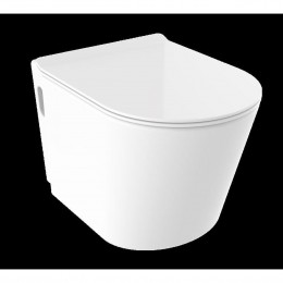 Surface Back to Wall Pan with Slim Soft Close Seat