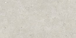 Fossil Light Porcelain Wall And Floor Tile 300x600mm
