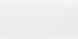Simplex White Structured Ceramic Wall Tile 310x610mm