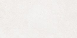 Horizon White Porcelain Wall & Floor Tile 300x600mm