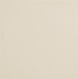 Time Snow T21 Natural Rectified 600x1200mm