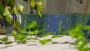 Small Format Green Small Format 150x150 - 250x400 Ceramic for ; Finish - Gloss/Polished