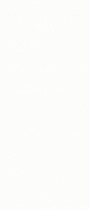 NB1016 Sanctuary Gloss White Wall Tile 320x750mm - 9.37m²