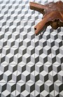 Patterned --and-- Statement Mixed Small Format 150x150 - 250x400 Porcelain for Wall/Floor; Finish - Matt