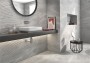 Arcadia Grey Ceramic Wall Tile 250x500mm