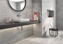 Arcadia Grey Ceramic Wall Tile 250x500mm