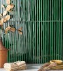 Small Format Green Medium Format 260x410 - 595x595 Ceramic for Wall/Floor; Finish - Gloss/Polished