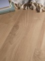 Wood Effect Tan/Brown Large Format Over 600x600 Porcelain for Wall/Floor; Finish - Natural