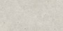 Fossil Light Porcelain Wall And Floor Tile 300x600mm