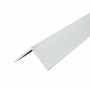 Multipanel Type 102 Angle Profile 2450mm Satin Silver