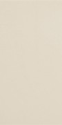 NB18780 Time Snow Natural Rectified Double Loaded Porcelain 300x600mm - 2.34m²