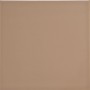 PRG116 Gloss Ginger Ceramic Wall Tile 150x150mm