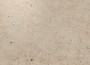 Patterned --and-- Statement Ivory/Cream/Beige Medium Format 260x410 - 595x595 Porcelain for Wall/Floor; Finish - Matt
