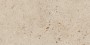 Patterned --and-- Statement Ivory/Cream/Beige Medium Format 260x410 - 595x595 Porcelain for Wall/Floor; Finish - Matt