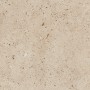 Ivory/Cream/Beige Medium Format 260x410 - 595x595 Porcelain for Wall/Floor; Finish - Matt