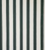 White   for ; Finish -