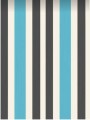 White   for ; Finish -