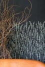 Farrow & Ball Wallpaper Feather Grass 5106