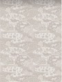 White   for ; Finish -