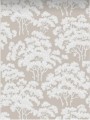 White   for ; Finish -